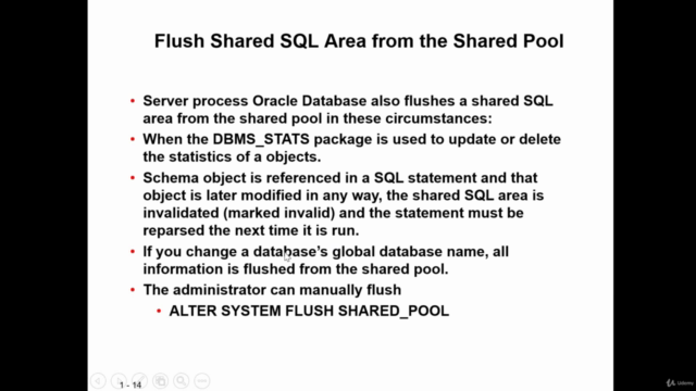 Oracle DBA 19c – Screenshot 2