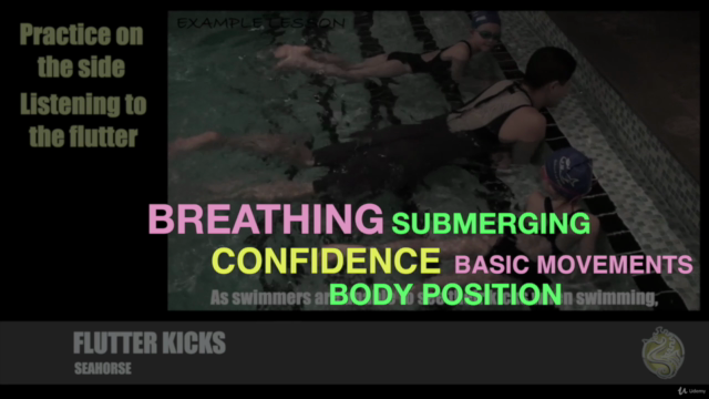 School of Fish SWIMMING ESSENTIALS - Course 1 – Screenshot 3