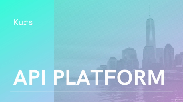 API Platform Symfony 5 – Screenshot 1