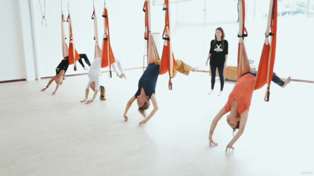 Aerial yoga course official method (aeroyoga) restorative – Screenshot 2