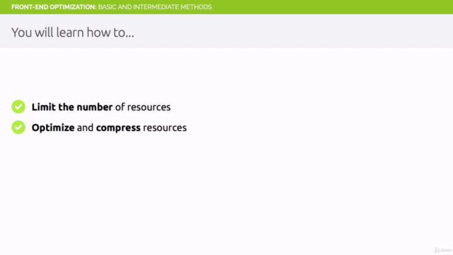 Website Speed Optimization - Front-end + WordPress – Screenshot 2
