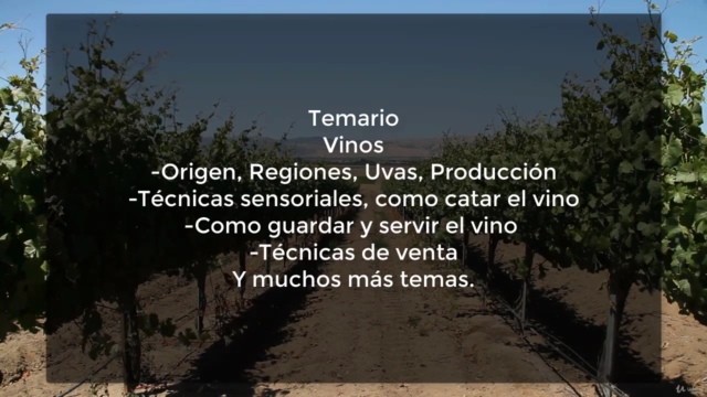 Curso sobre Vinos, Destilados y Cerveza – Screenshot 1