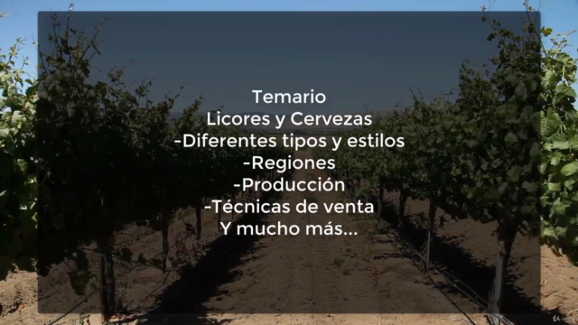 Curso sobre Vinos, Destilados y Cerveza – Screenshot 2