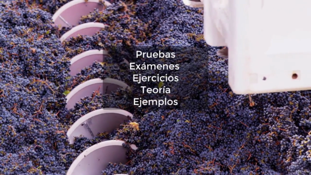 Curso sobre Vinos, Destilados y Cerveza – Screenshot 3