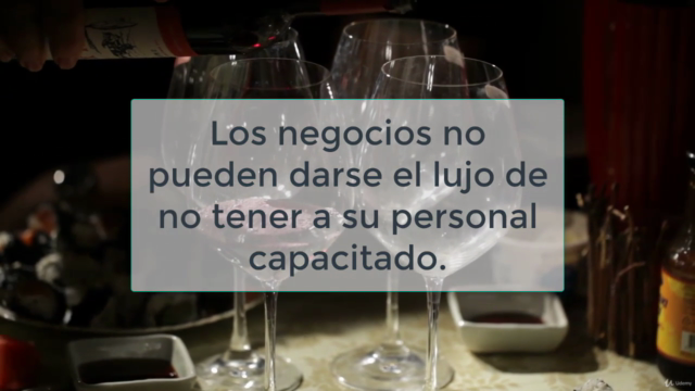 Curso sobre Vinos, Destilados y Cerveza – Screenshot 4