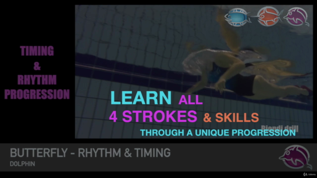 School of Fish SWIMMING STROKES & SKILLS - Course 2 – Screenshot 2