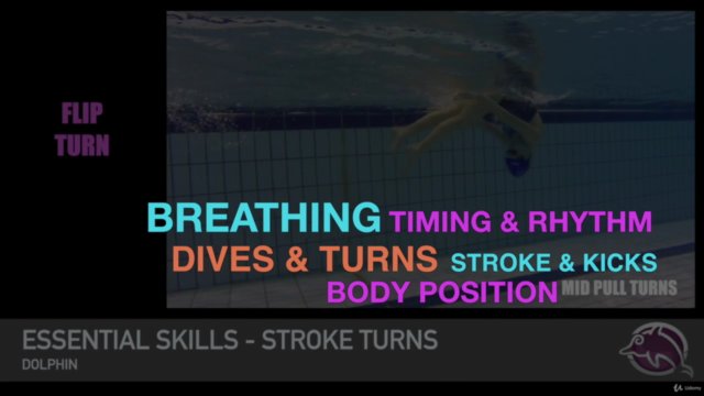 School of Fish SWIMMING STROKES & SKILLS - Course 2 – Screenshot 3