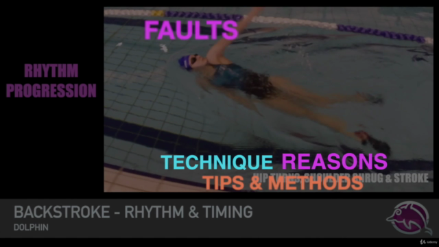 School of Fish SWIMMING STROKES & SKILLS - Course 2 – Screenshot 4