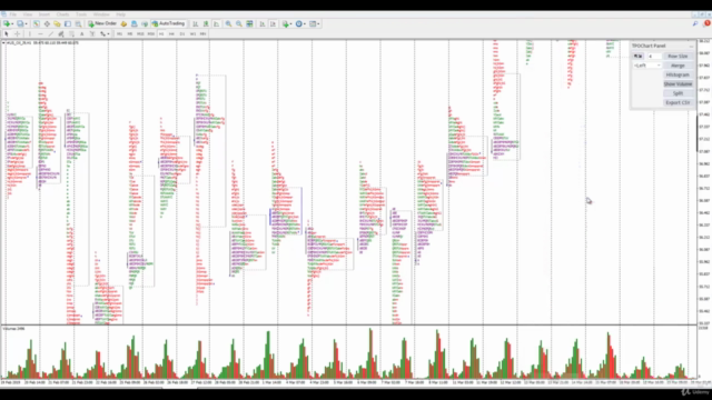 Volume Price Analysis: Strategy And Execution – Screenshot 4