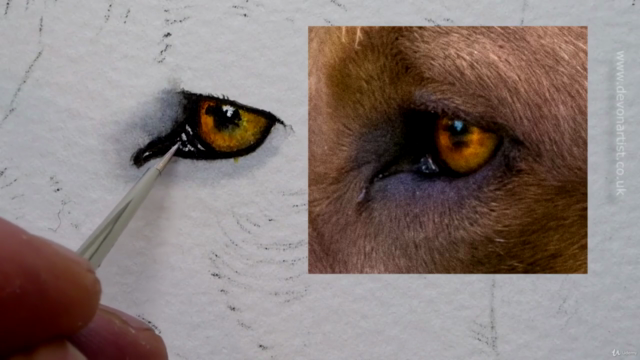 How To Paint a Dog in Watercolour - Painting Fur in Detail! – Screenshot 2