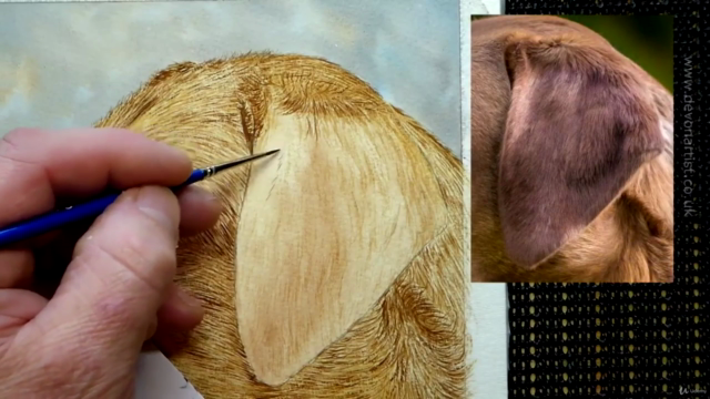 How To Paint a Dog in Watercolour - Painting Fur in Detail! – Screenshot 3