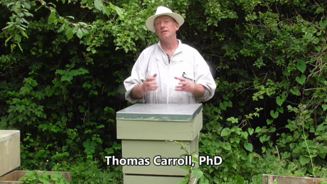 Beginning in Beekeeping: Start Your Very First Beehive! – Screenshot 1