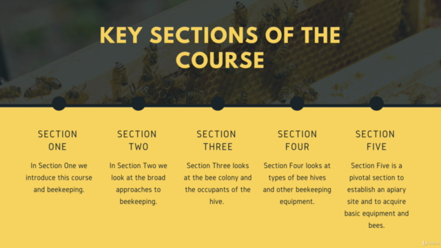 Beginning in Beekeeping: Start Your Very First Beehive! – Screenshot 2