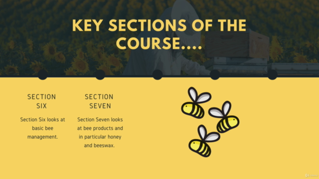 Beginning in Beekeeping: Start Your Very First Beehive! – Screenshot 3