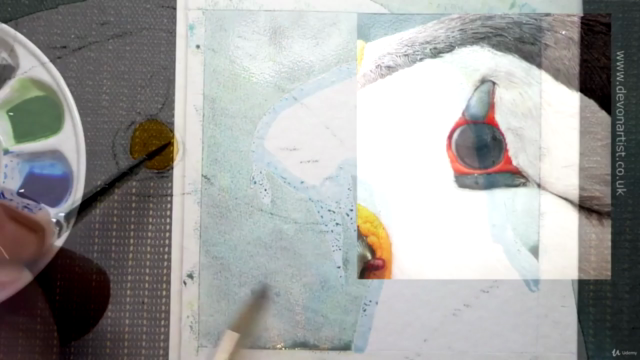 Watercolor Painting - Paint a Puffin – Screenshot 1