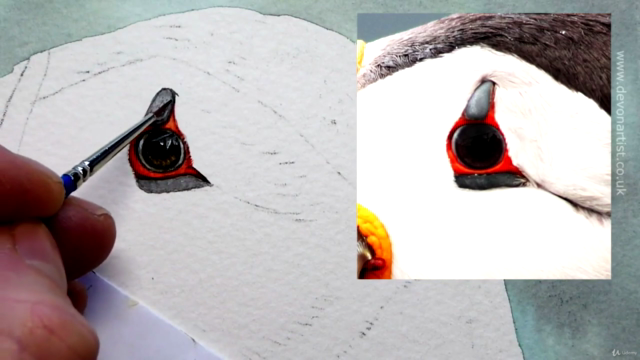 Watercolor Painting - Paint a Puffin – Screenshot 2
