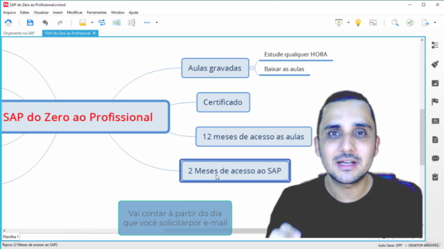 SAP DO ZERO AO PROFISSIONAL – Screenshot 2