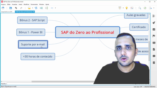 SAP DO ZERO AO PROFISSIONAL – Screenshot 3
