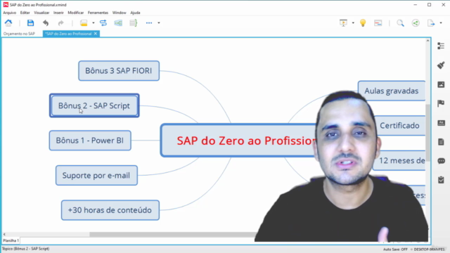 SAP DO ZERO AO PROFISSIONAL – Screenshot 4
