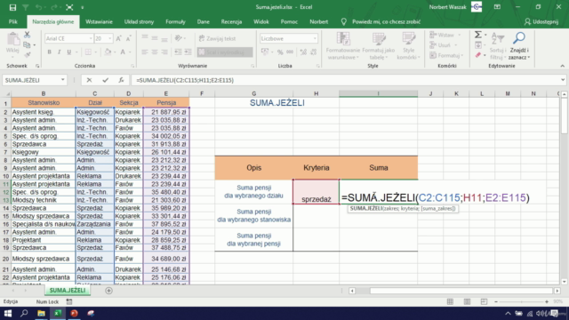 Excel - praktyczny kurs – Screenshot 2