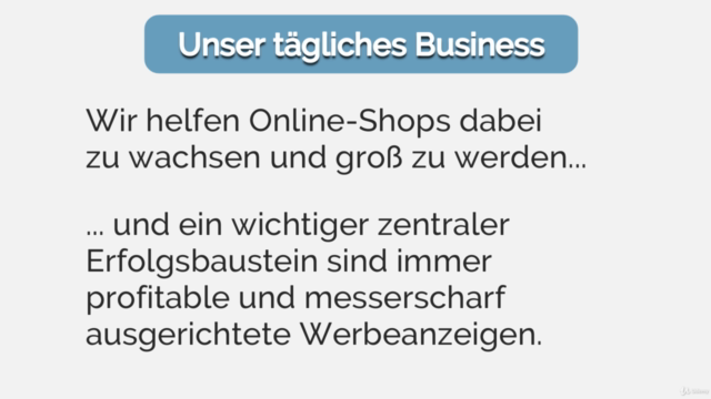 Google Shopping: Gewinn steigern, Werbekosten senken – Screenshot 1