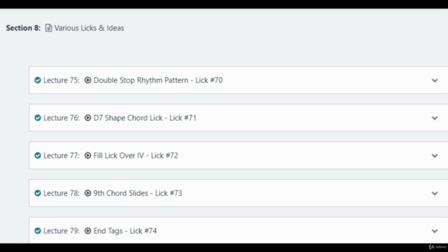 BB King Guitar Licks: 1947-1953 – Screenshot 4