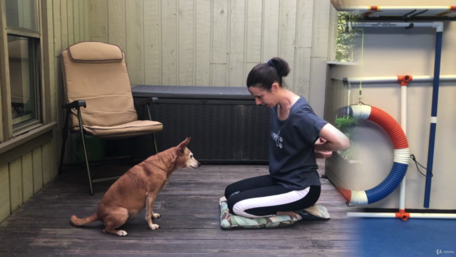 BKLN Manners™: Dog Training for Busy People – Screenshot 3