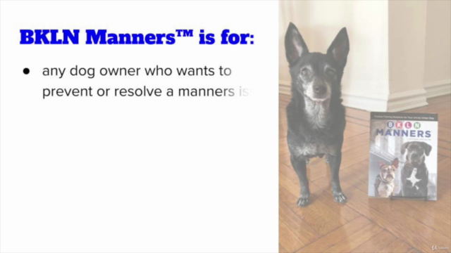 BKLN Manners™: Dog Training for Busy People – Screenshot 4