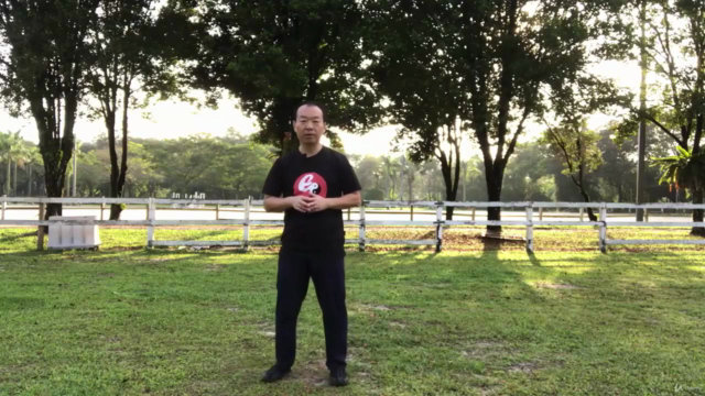 Tai Chi Chen Style 38 Form -to Sharp Mind & Physical Fitness – Screenshot 1