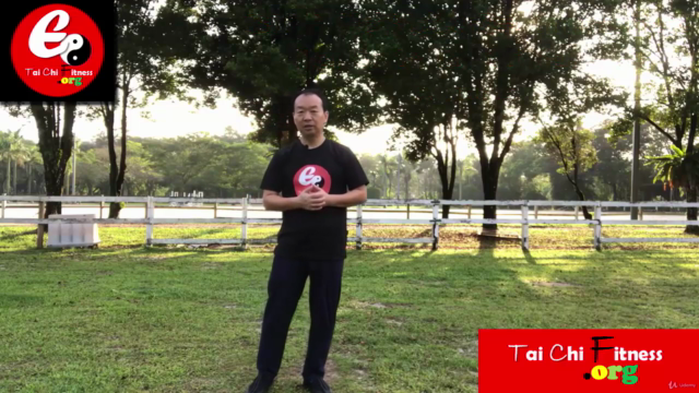Tai Chi Chen Style 38 Form -to Sharp Mind & Physical Fitness – Screenshot 2