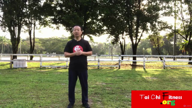 Tai Chi Chen Style 38 Form -to Sharp Mind & Physical Fitness – Screenshot 3