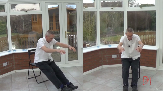 Qigong for Relieving Chronic Back Pain – Screenshot 2