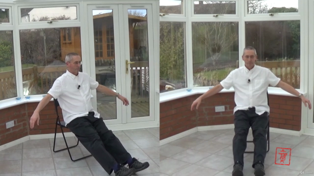 Qigong for Relieving Chronic Back Pain – Screenshot 4