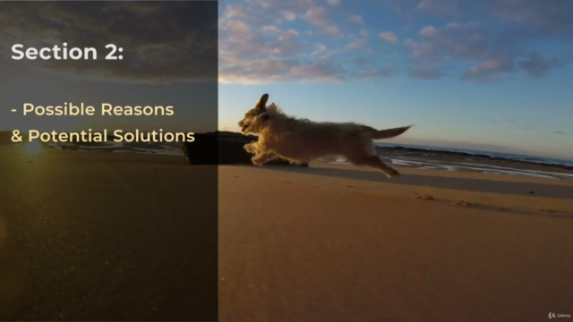 50+ Dog Behavior & Health Issues Management: 2 courses in 1 – Screenshot 4