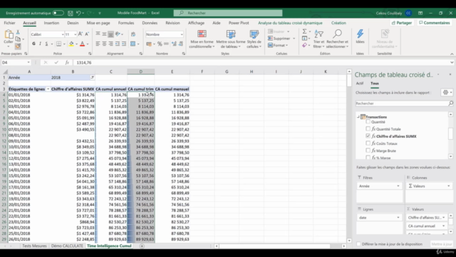 Excel Business Intelligence : Power Query Power Pivot & DAX – Screenshot 4