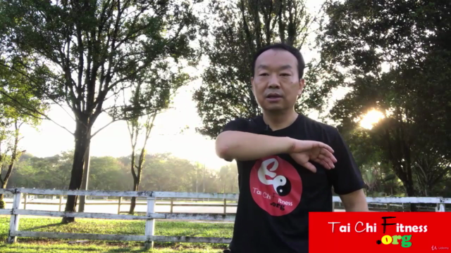 The Original Tai Chi  Martial Art - Chen Style Old Form One - Screenshot_02
