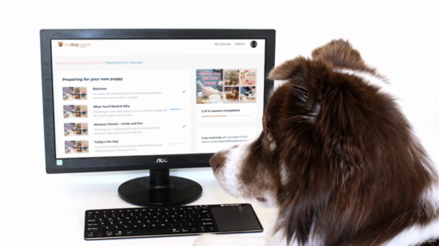 Before You Get Your Puppy – Prepare for Puppy Training – Screenshot 3