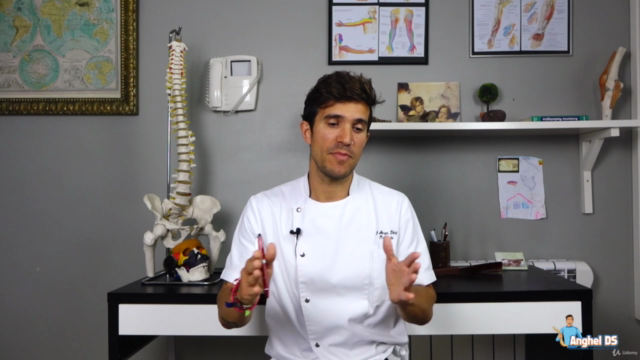 Osteopatía y terapia manual de la cadera – Screenshot 3