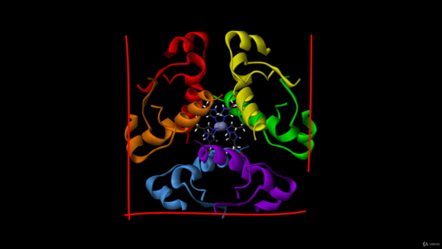 El Sistema Neuroendocrino – Screenshot 1