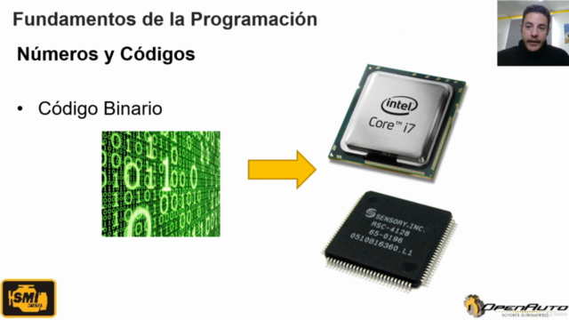 Curso de Programación de ECUS Automotrices – Screenshot 4