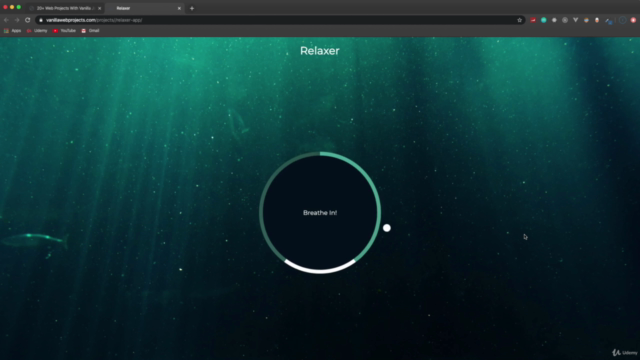 20 Web Projects With Vanilla JavaScript – Screenshot 2