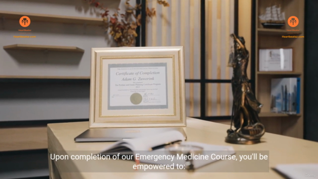 Diploma in Emergency Medicine Part 2/3 – Screenshot 3