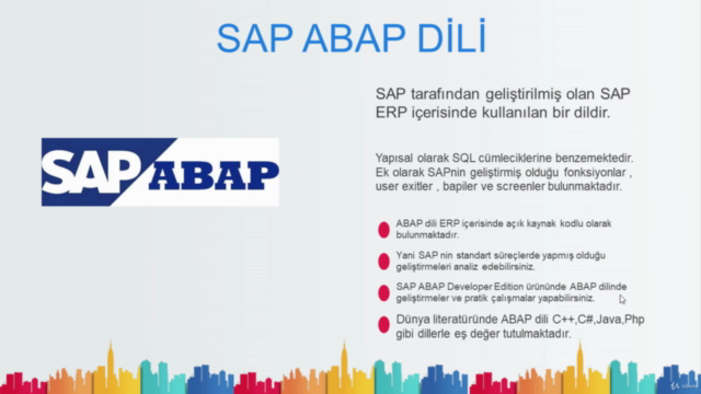 SAP ABAP : İleri Seviye ABAP Eğitim Seti – Screenshot 1