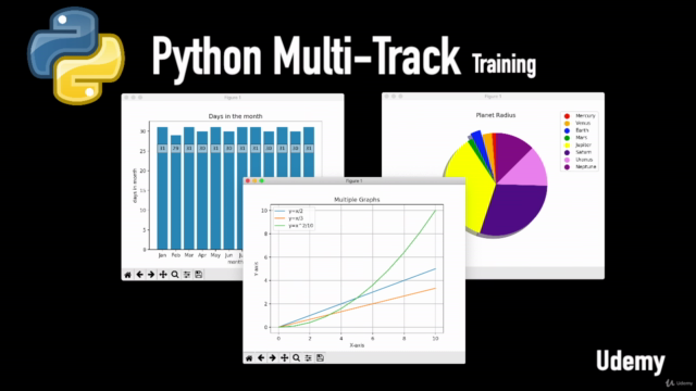 Python MultiTrack- beginners and professionals- zero to hero – Screenshot 4