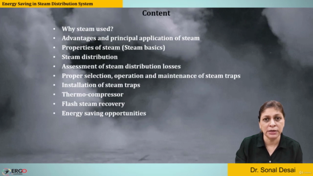 Energy saving in Steam Distribution System – Screenshot 1