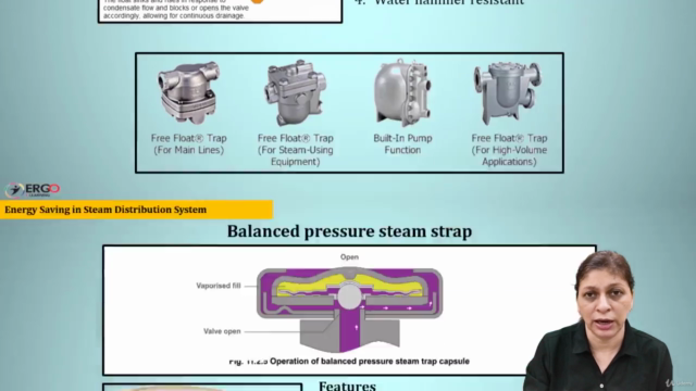 Energy saving in Steam Distribution System – Screenshot 4