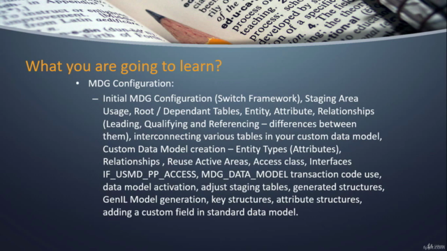 SAP MDG - Data Modeling for Beginners with Hands-On – Screenshot 3