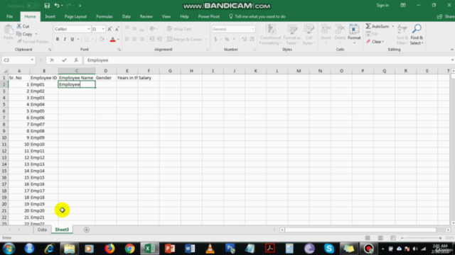 Data Visualization with Excel - Crash Course - Screenshot_02