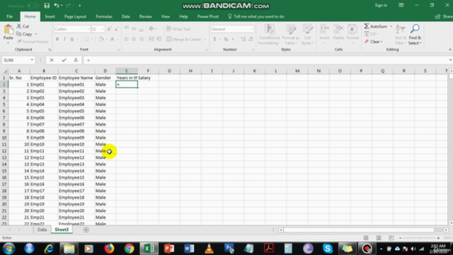 Data Visualization with Excel - Crash Course - Screenshot_03
