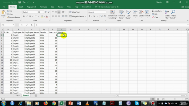 Data Visualization with Excel - Crash Course - Screenshot_04